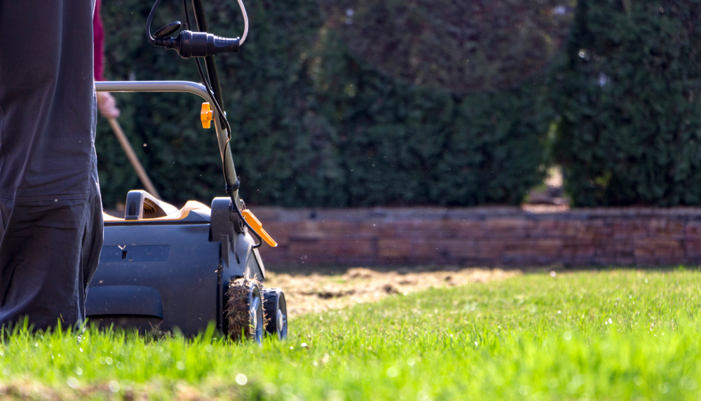 What Is A Lawn Scarifier & Why & How To Use One YardYum Garden